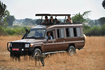 SAFARI LAND CRUISER EXTENDED